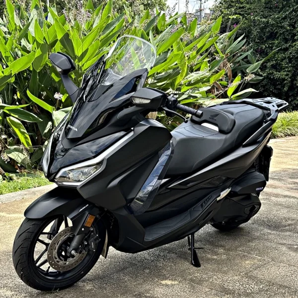 HONDA FORZA350 NSS350 ADV350 Rear Rack